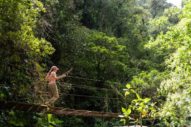 Descubre toda la biodiversidad del Parque Nacional del Manu